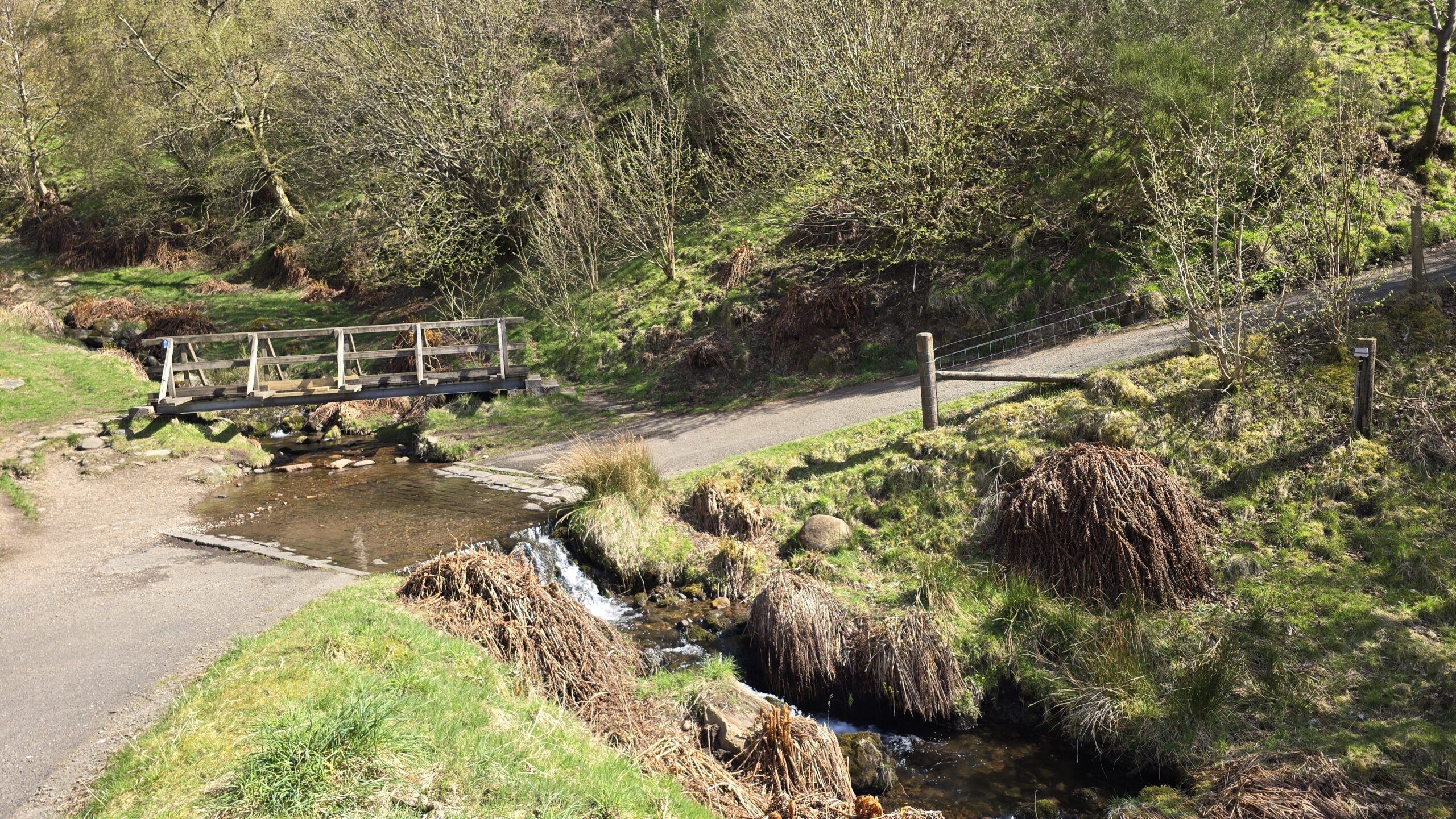 Selfie at the wooden bridge, Dollar Glen