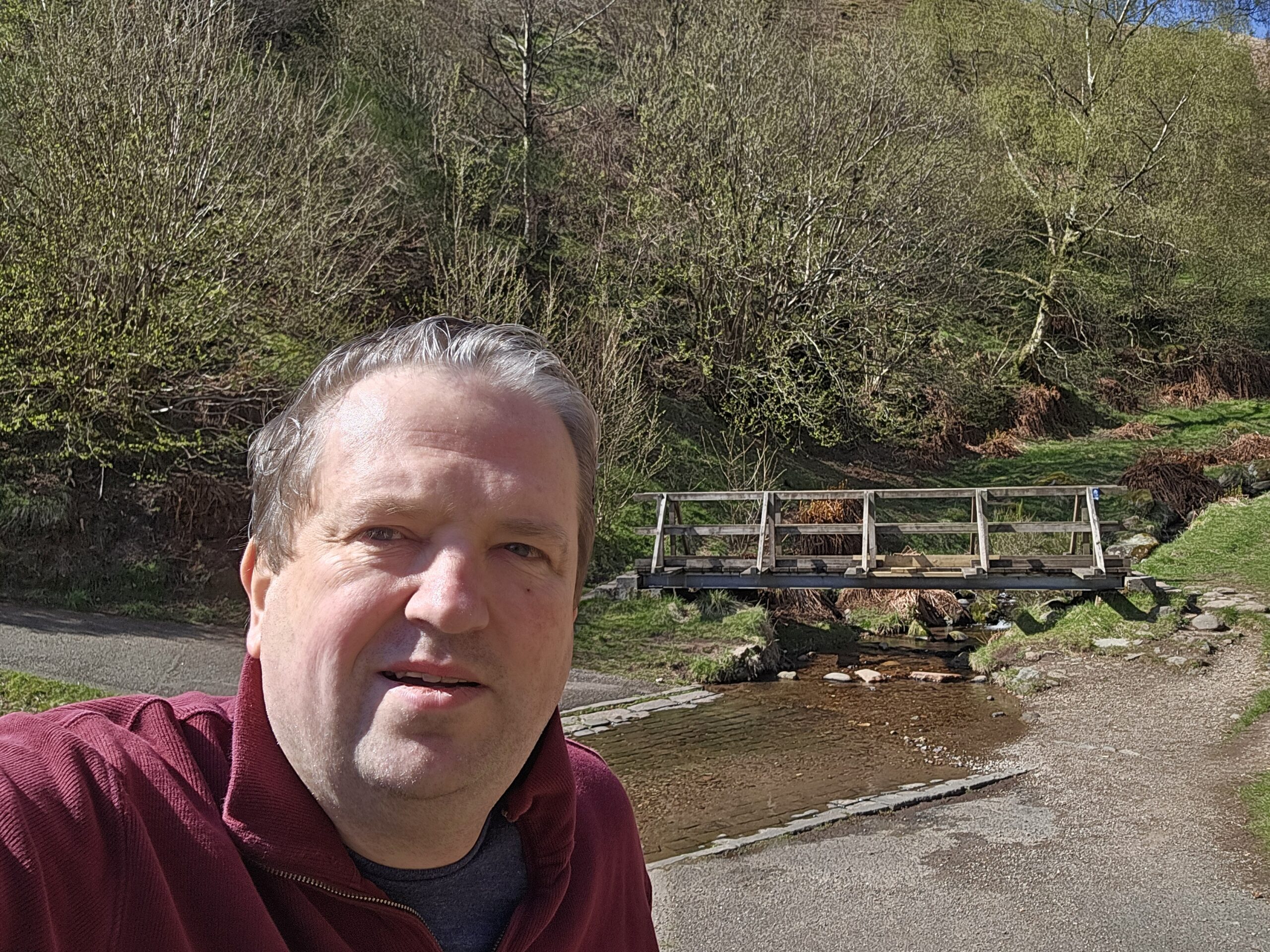 Wooden footbridge over the Burn of Care at Dollar Glen