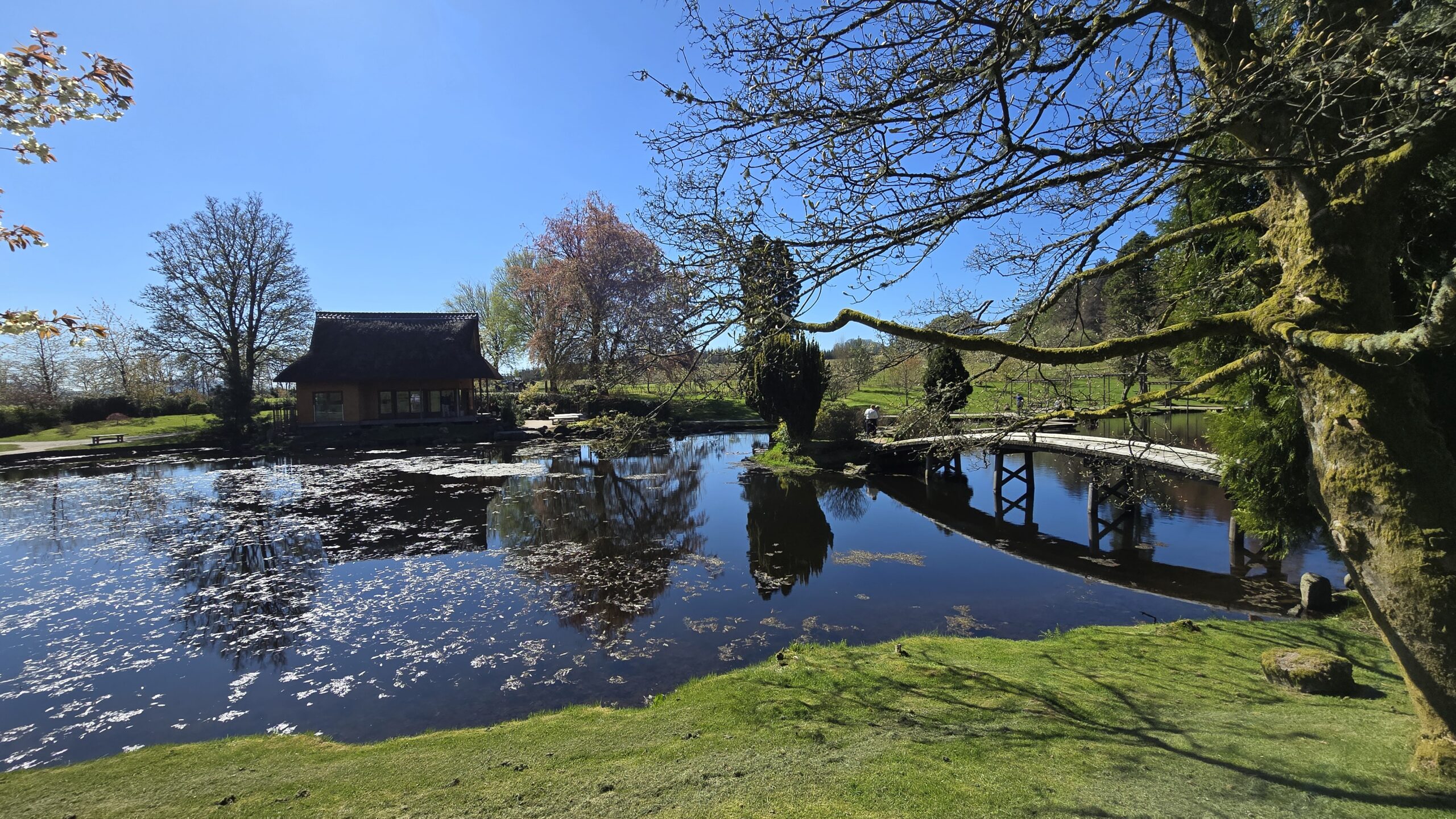 The teahouse and pond at Cowden Japanese Garden