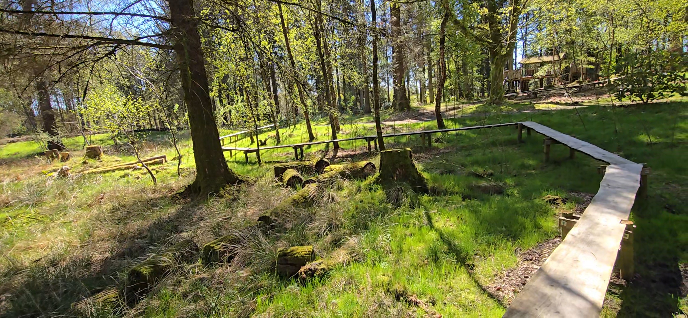 Selfie on the raised forest path at Cowden