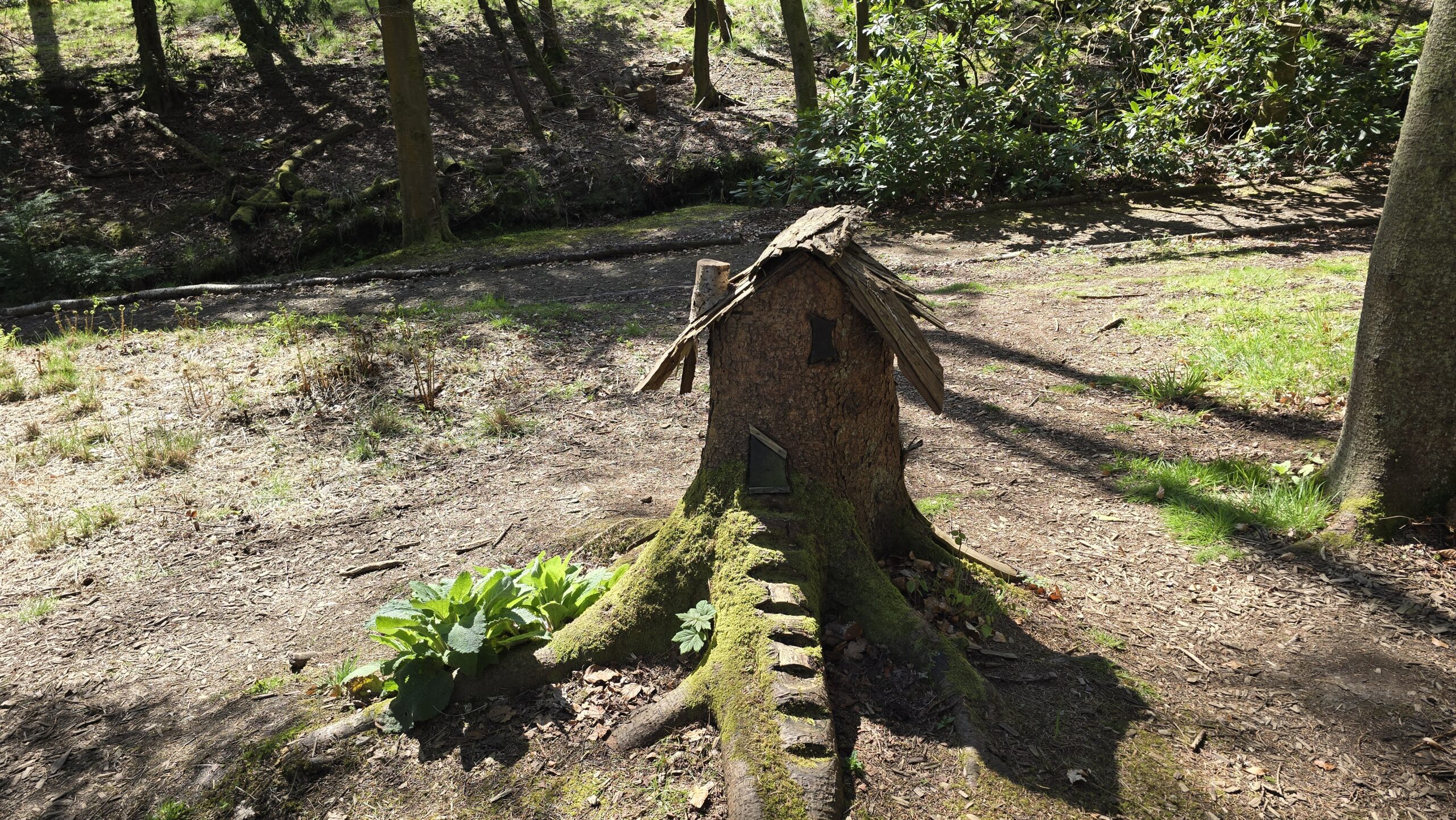 A fairy house built into a mossy tree stump in the forest