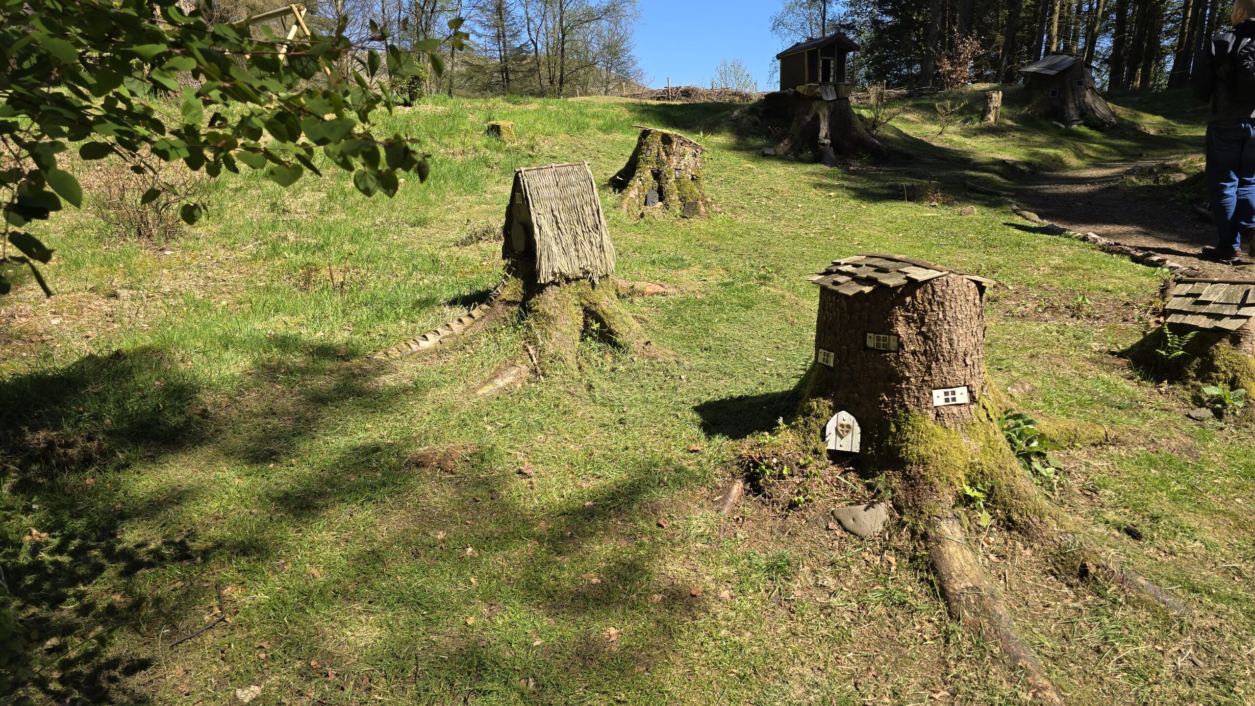 Fairy houses on tree stumps in the Stewart Woodland Walk, Cowden